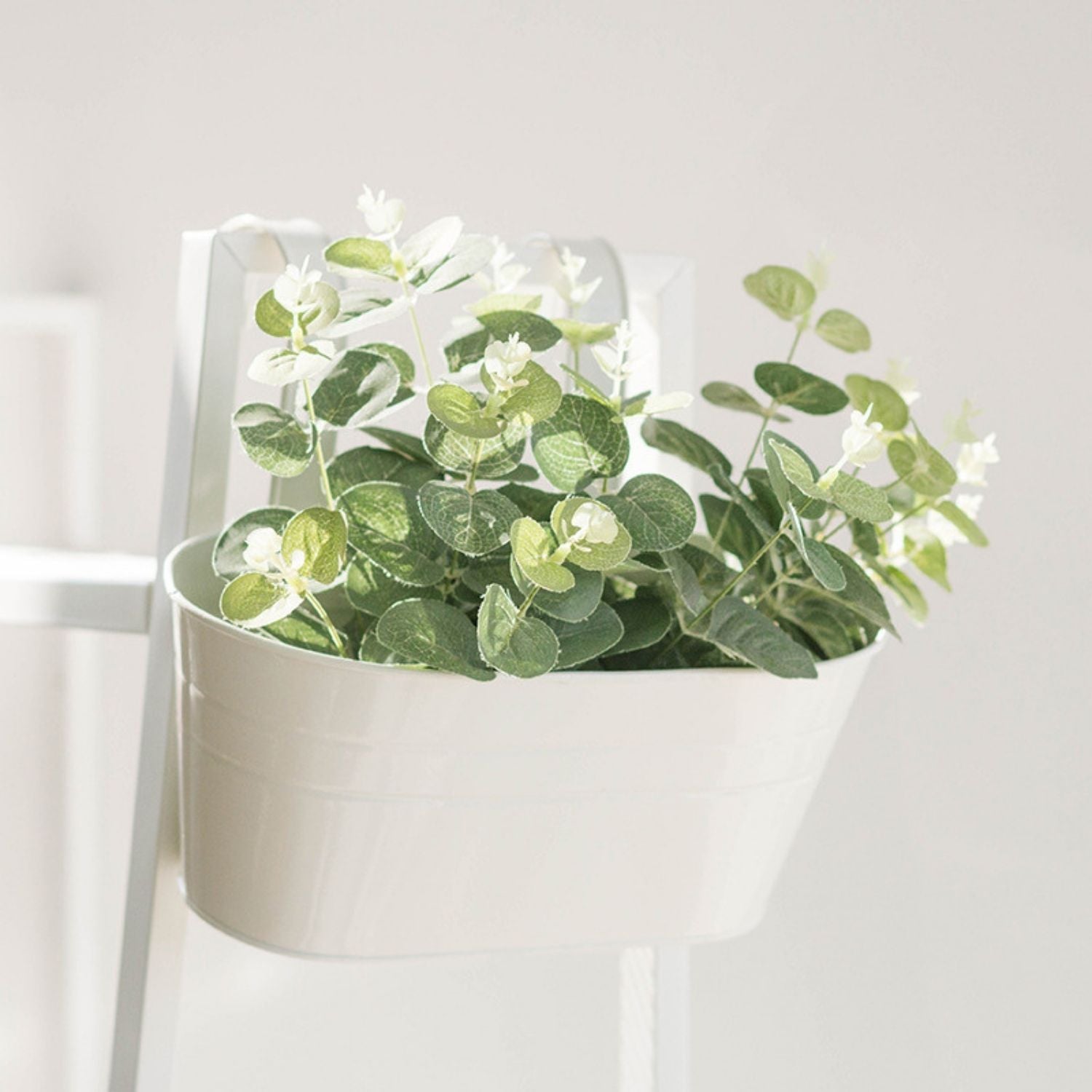 NOVEDEN 3 Pack Metal Iron Hanging Flower Pots with Detachable Hooks (White) NE-PSD-102-JJ